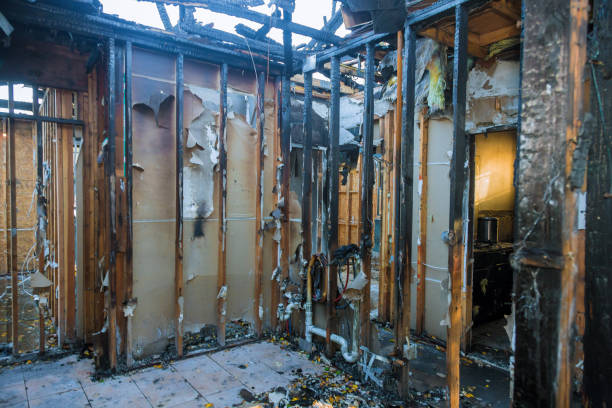 Professional Fire Damage Removal technician working in Signal Hill, CA